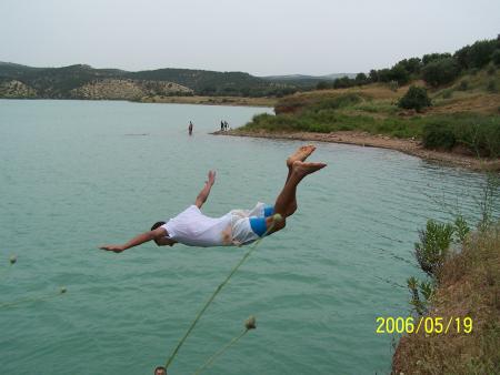DIMA